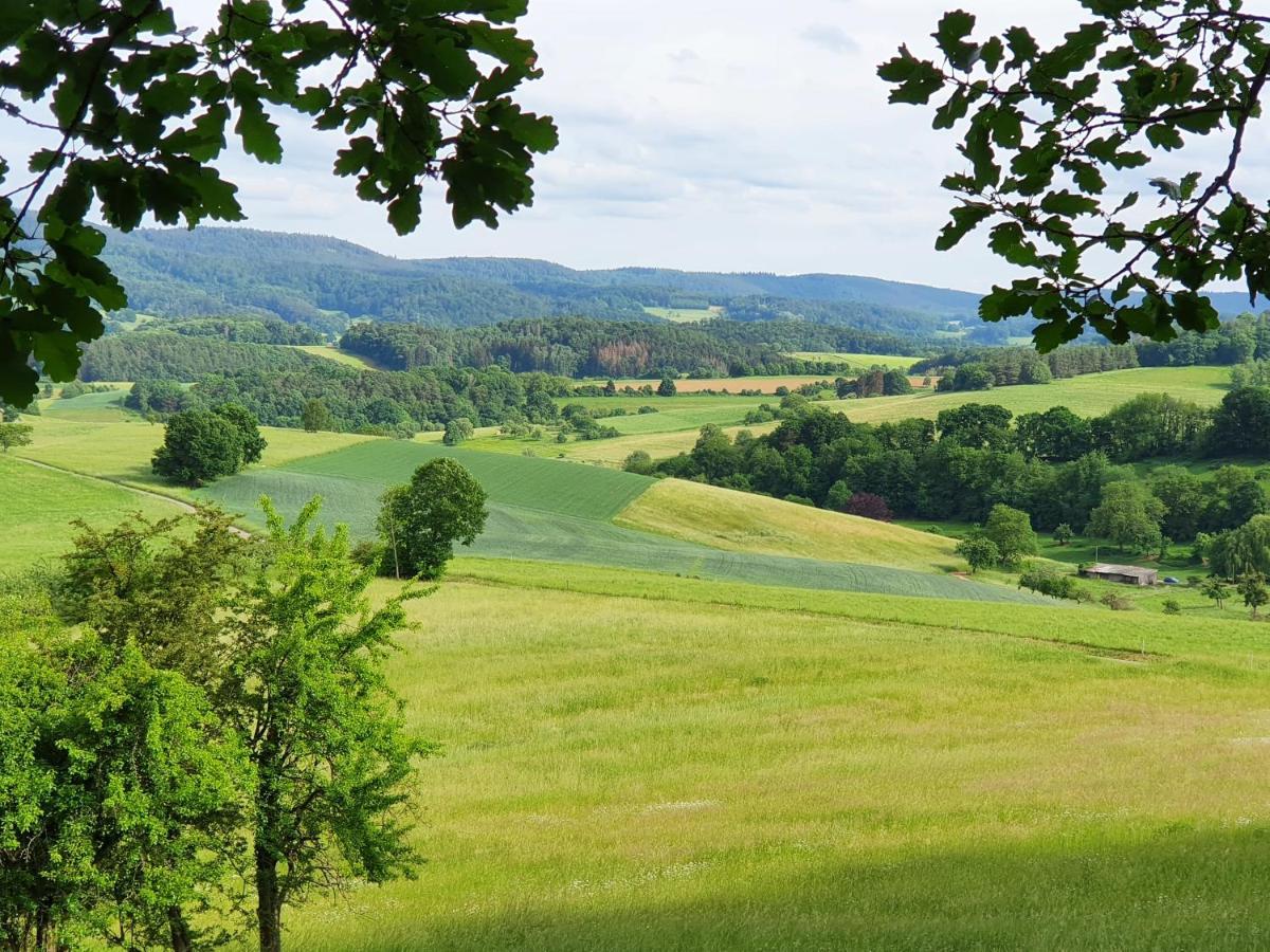 Odenwald-Lodge Mit Infrarotsauna Und E-Ladestation "Haus Purpur" Reichelsheim Exterior foto