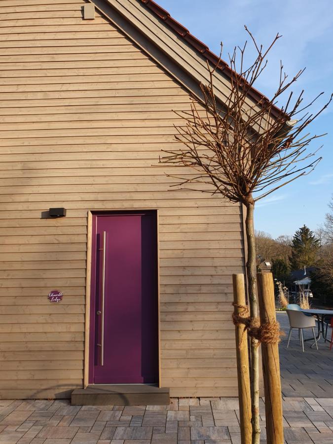 Odenwald-Lodge Mit Infrarotsauna Und E-Ladestation "Haus Purpur" Reichelsheim Exterior foto