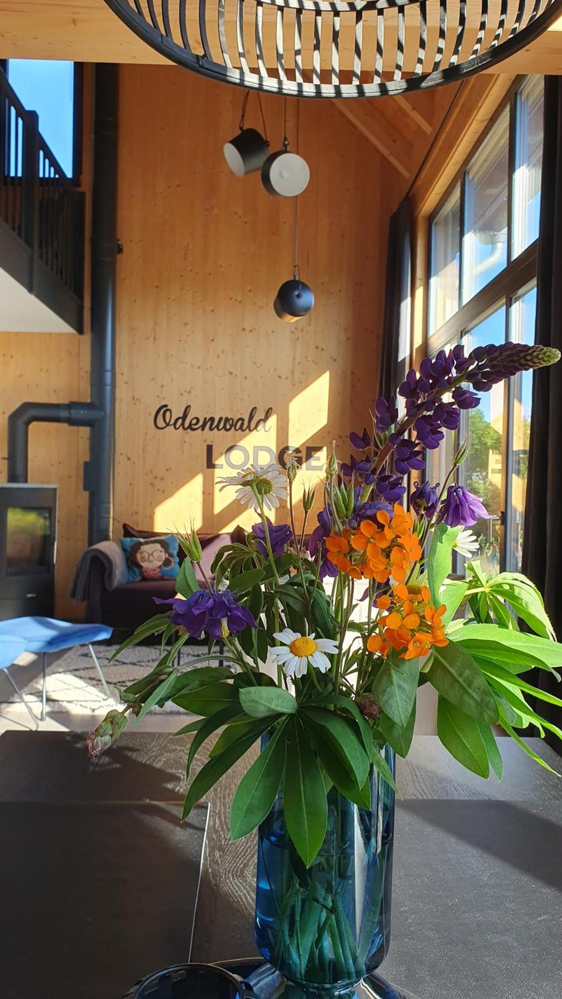 Odenwald-Lodge Mit Infrarotsauna Und E-Ladestation "Haus Purpur" Reichelsheim Exterior foto
